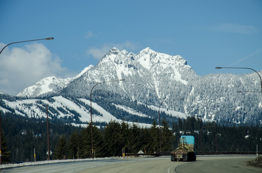 DSC_0696 (1000x662) (2).jpg