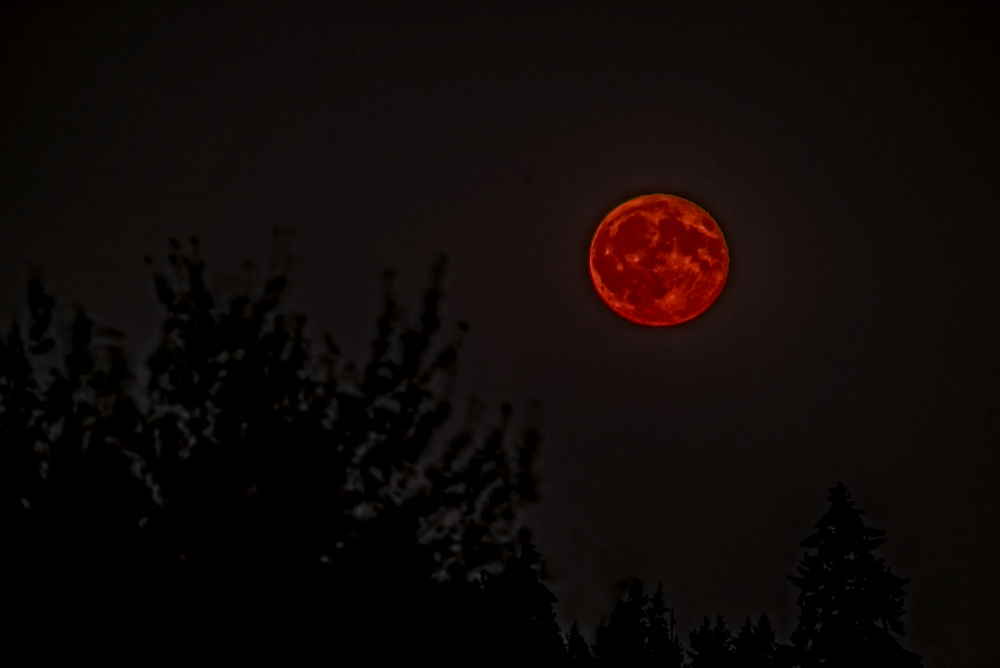 DSC_0696-Edit.jpg