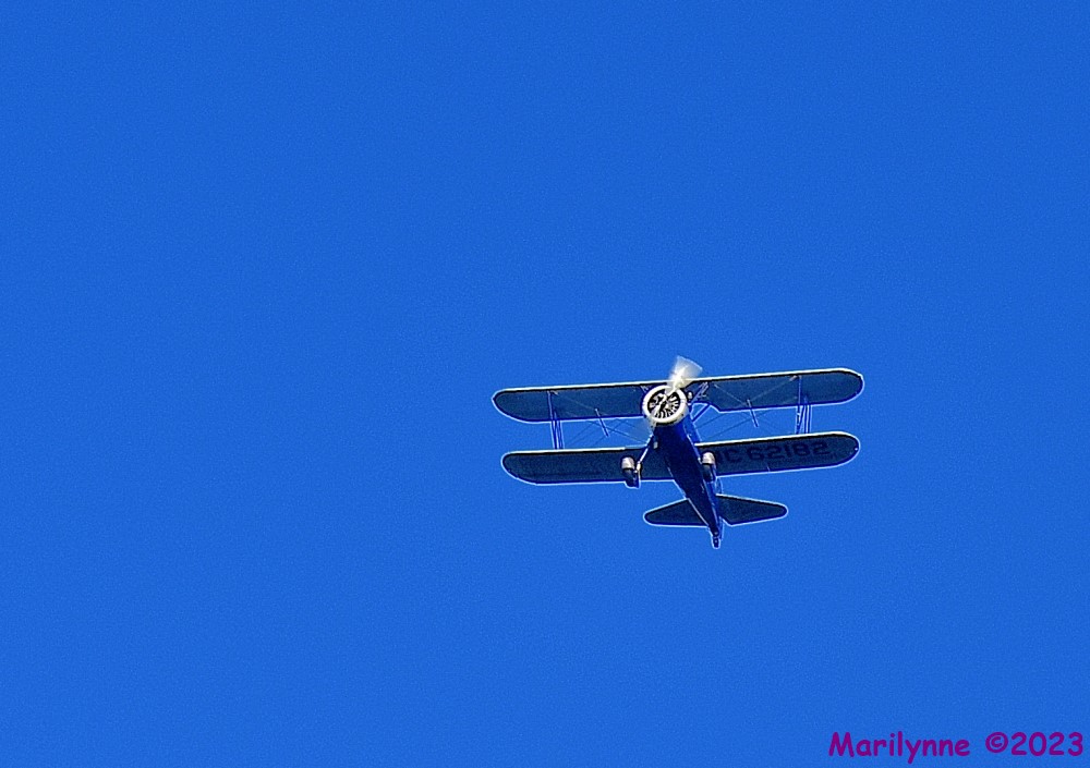 DSC_0696_001.JPG