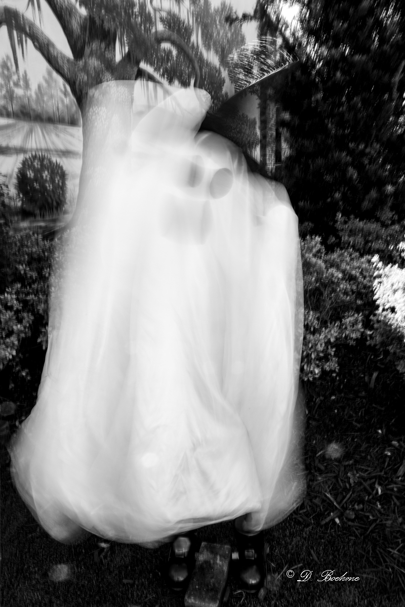 DSC_0700.jpg