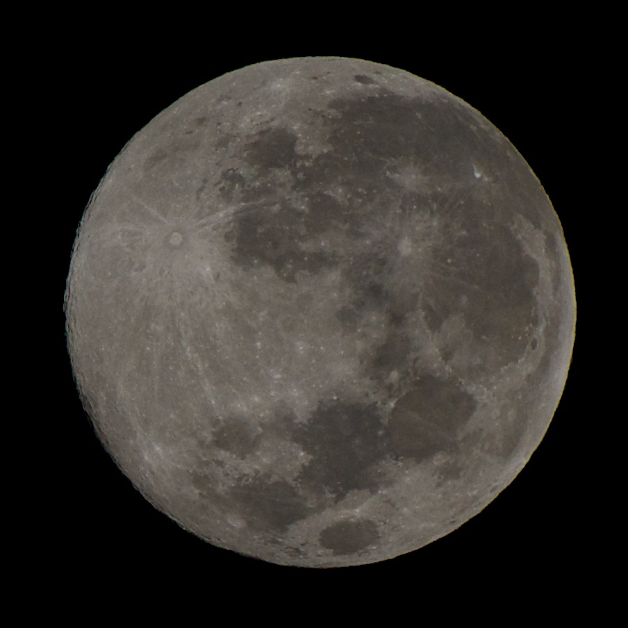 DSC_0702.jpg