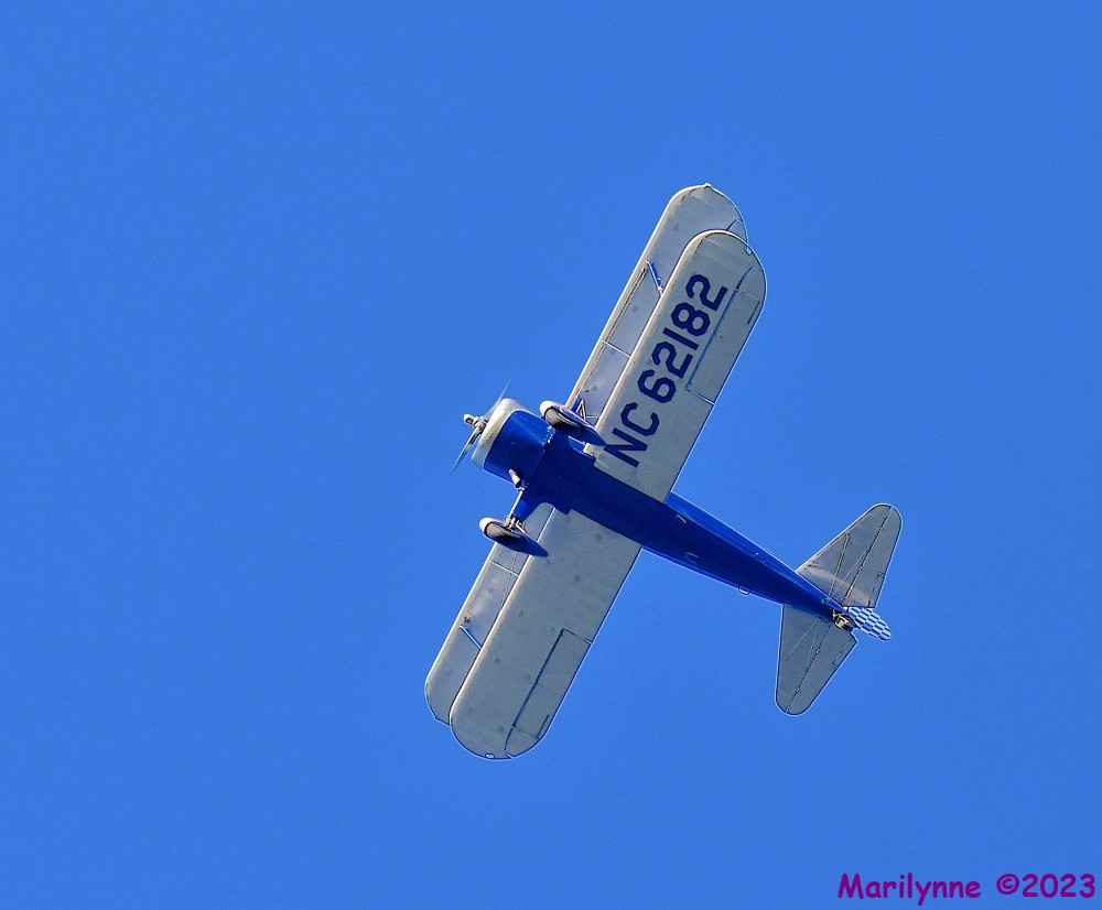 DSC_0704_001.JPG