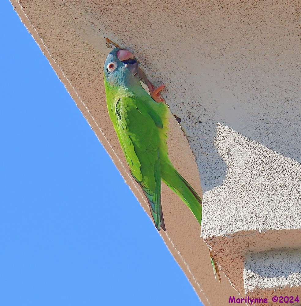 DSC_0704_001.JPG