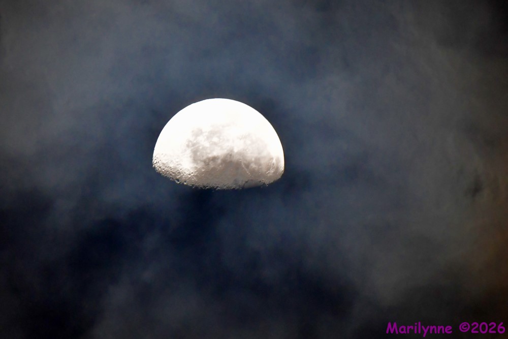 DSC_0704_001.JPG