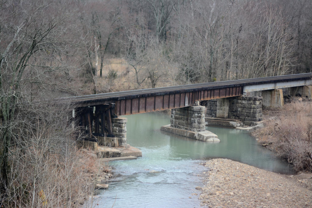 DSC_0711.jpg