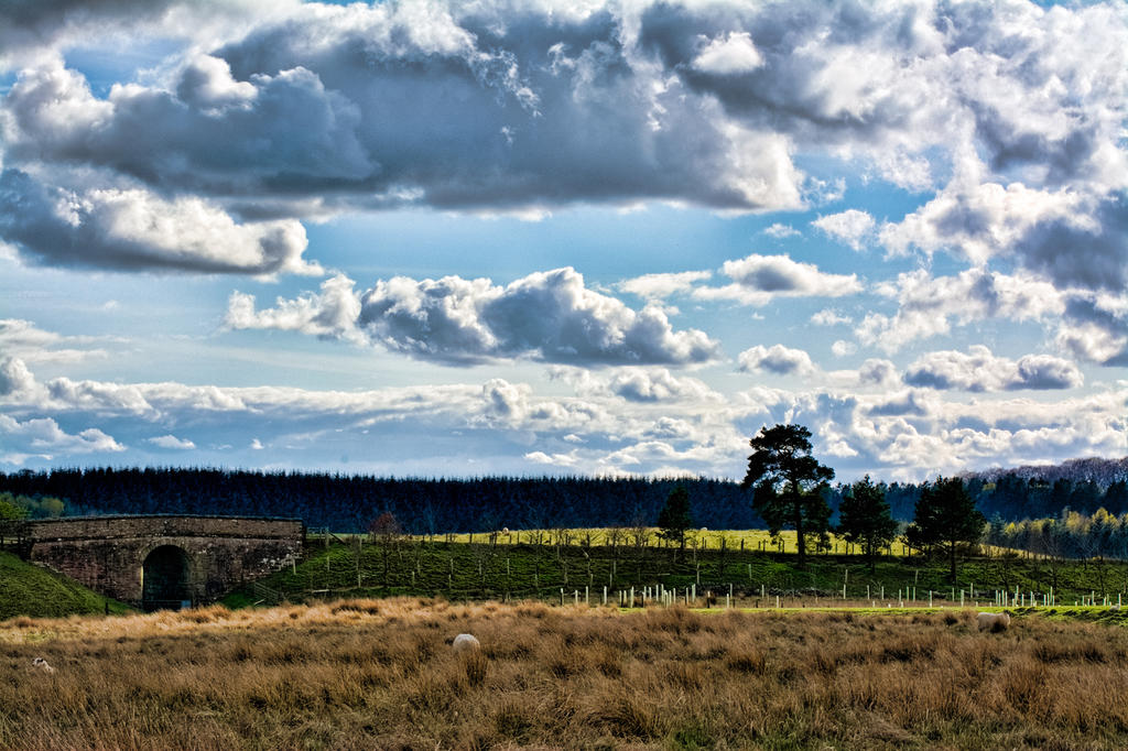 DSC_0715.jpg