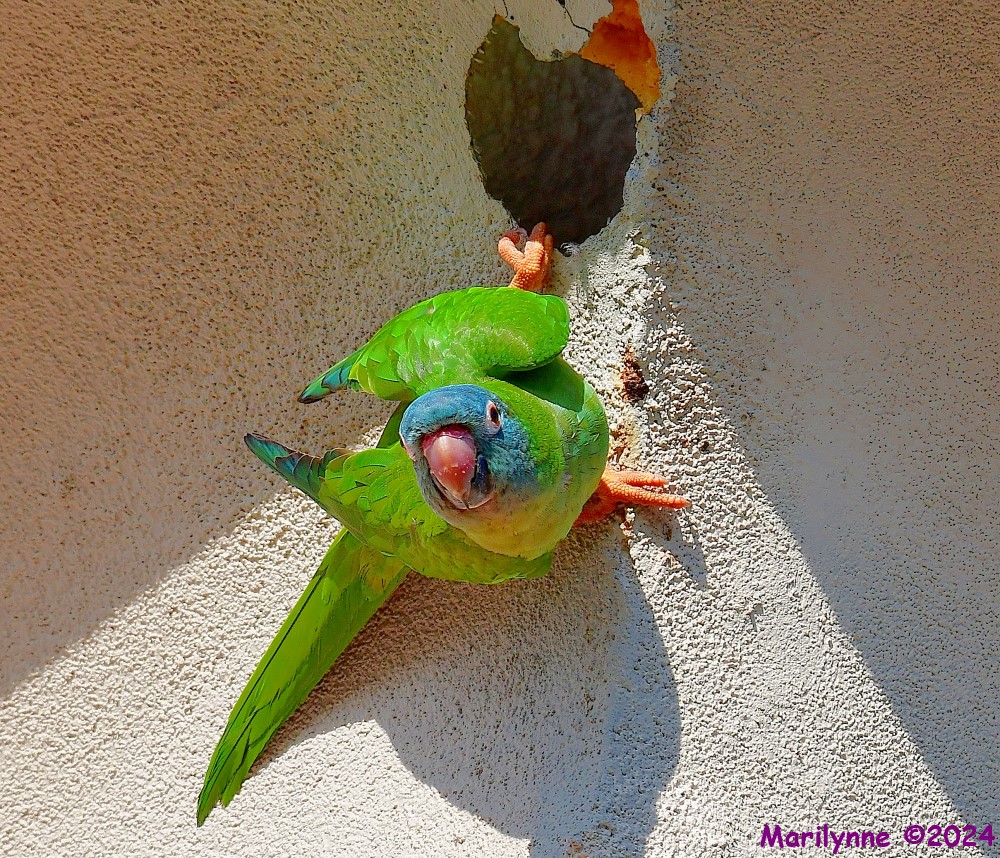 DSC_0715_001.JPG