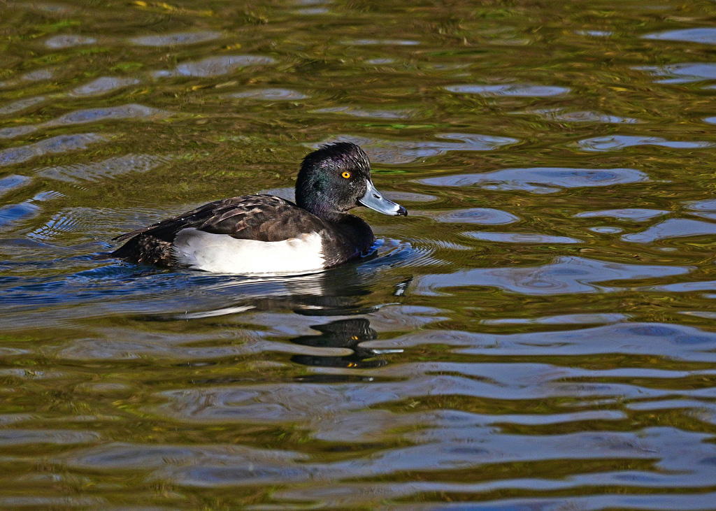 DSC_0719.jpg