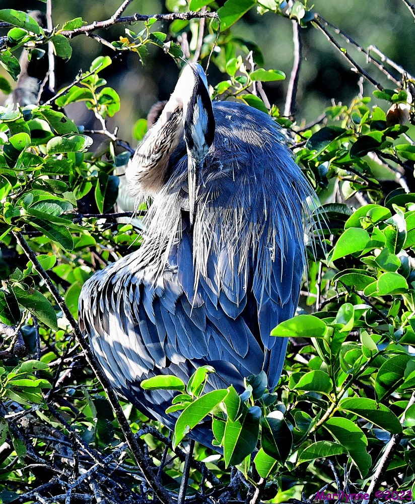 DSC_0721_001.JPG
