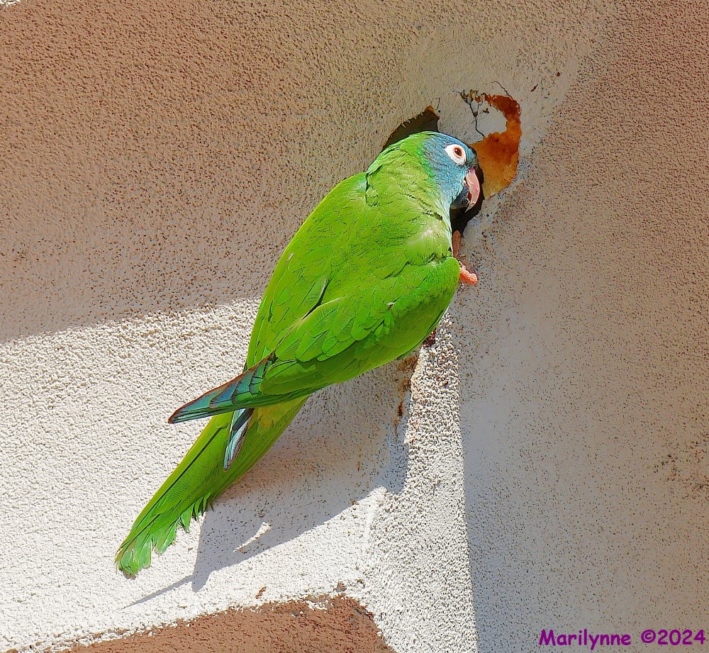 DSC_0723_001.JPG