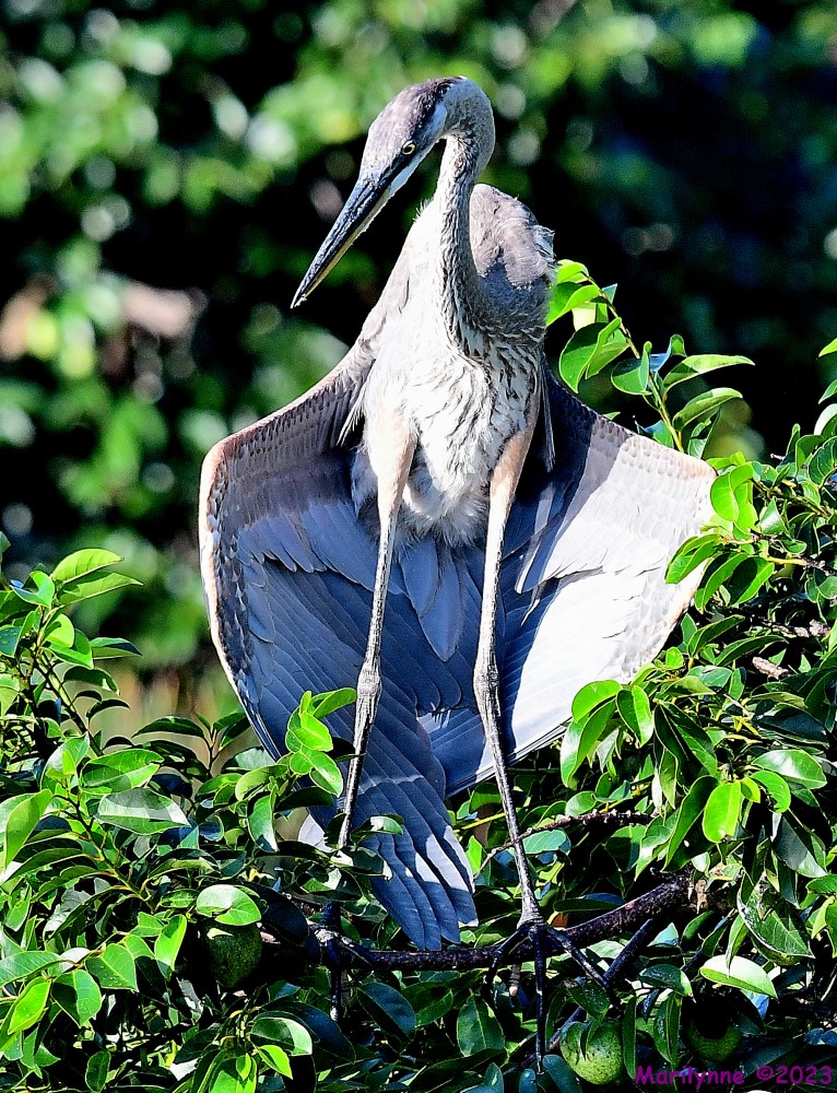 DSC_0728_001.JPG