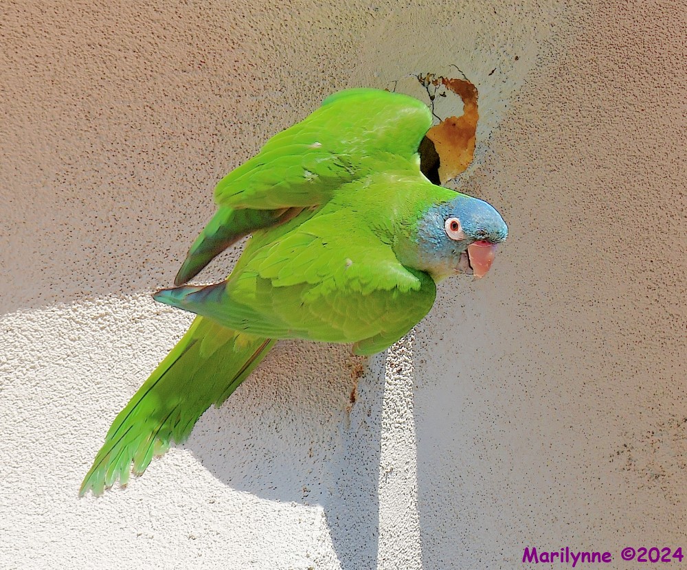 DSC_0728_001.JPG