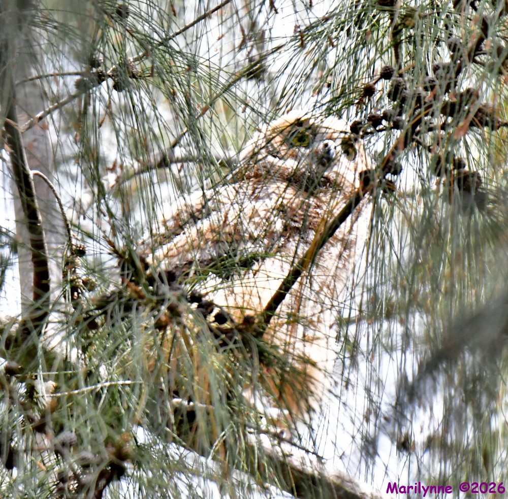 DSC_0728_001.JPG