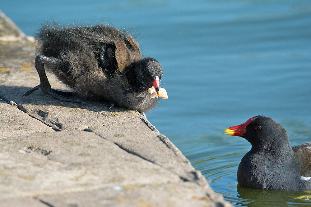 DSC_0730.jpg