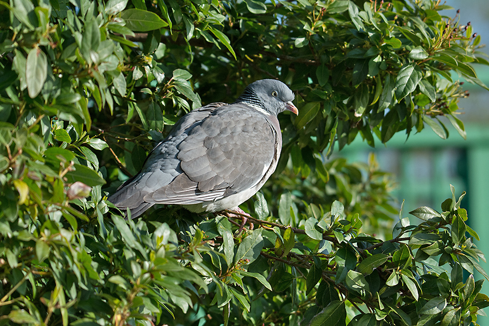 DSC_0734.jpg