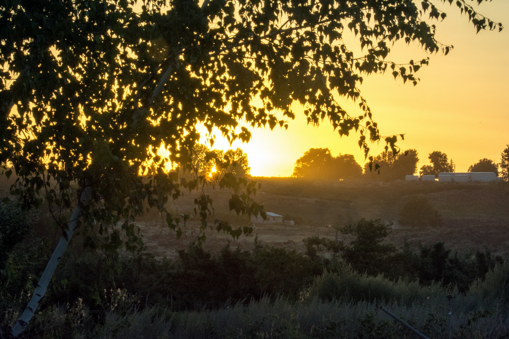 DSC_0738.jpg