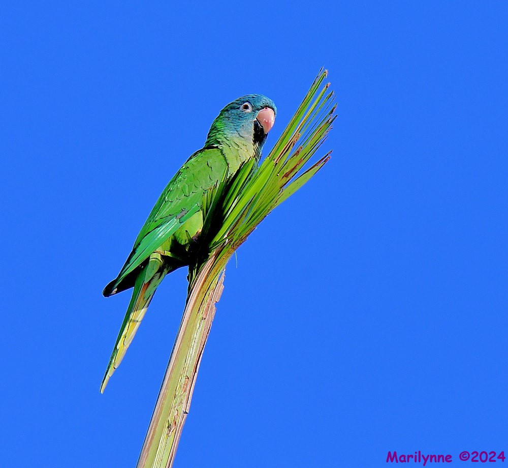 DSC_0745_001.JPG