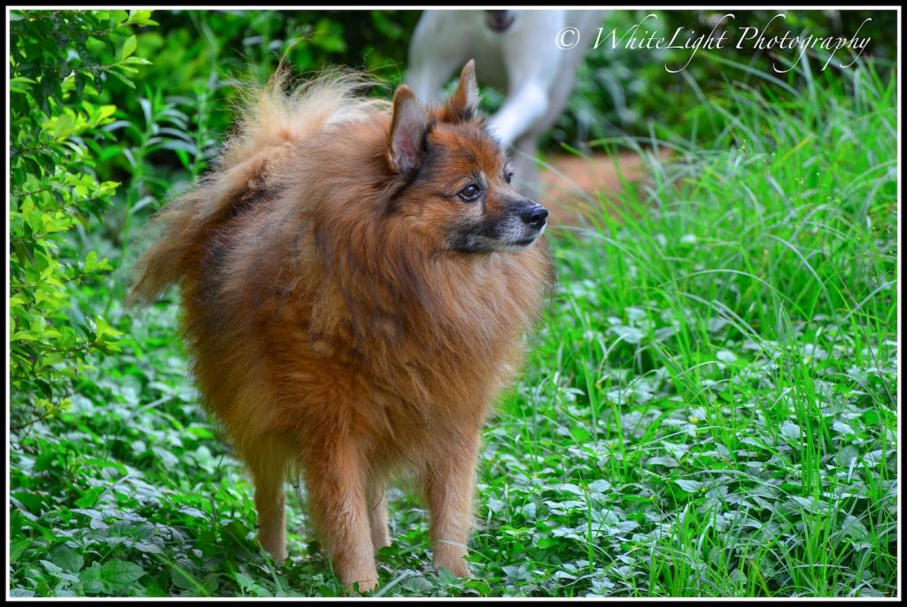 DSC_0745_WLP.jpg