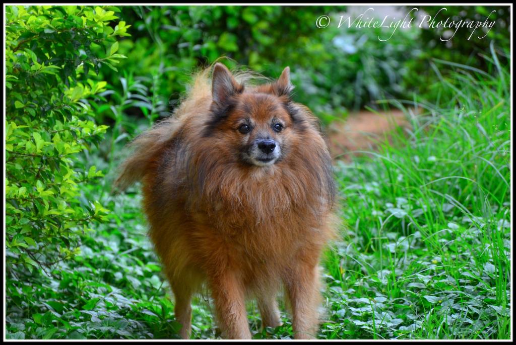 DSC_0746_WLP.jpg