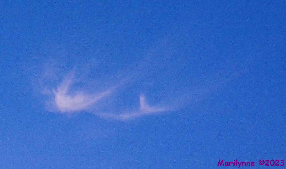 DSC_0750_001.JPG