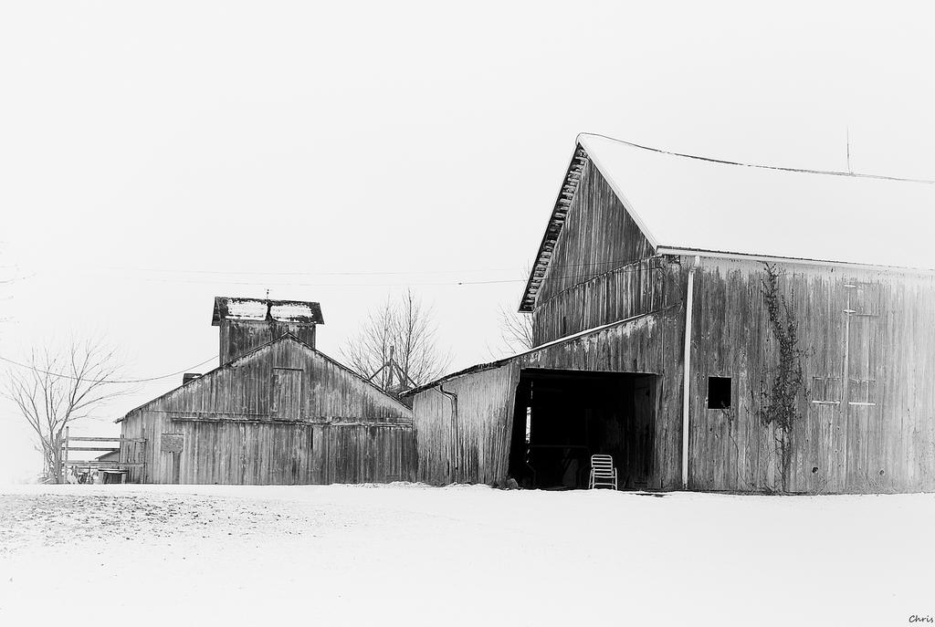DSC_0750_7.jpg