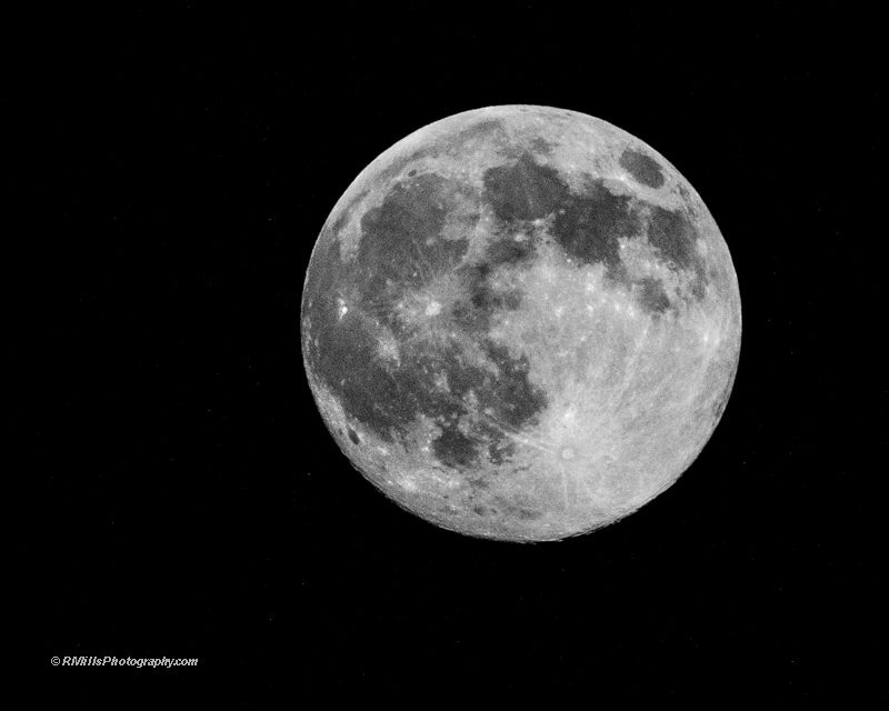 DSC_0751_11266-2.jpg