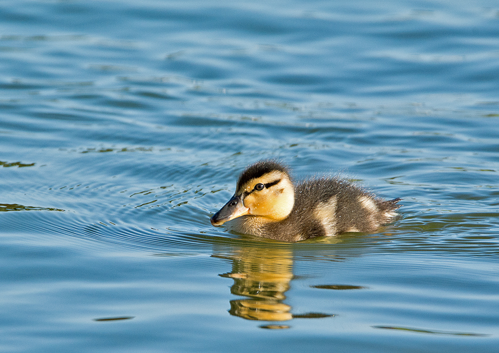 DSC_0758.jpg