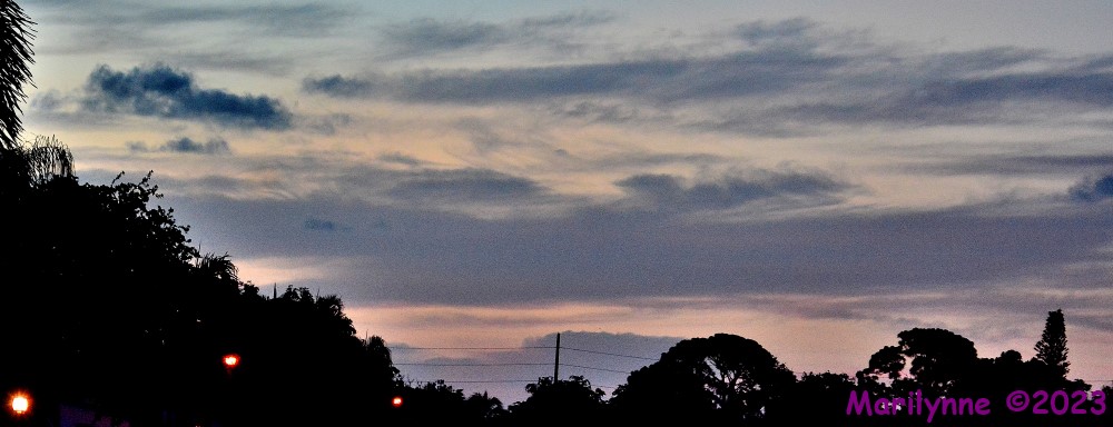 DSC_0758_001.JPG
