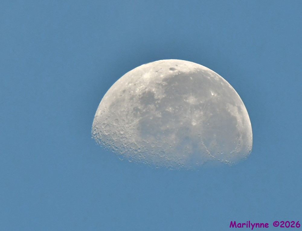 DSC_0760_001.JPG