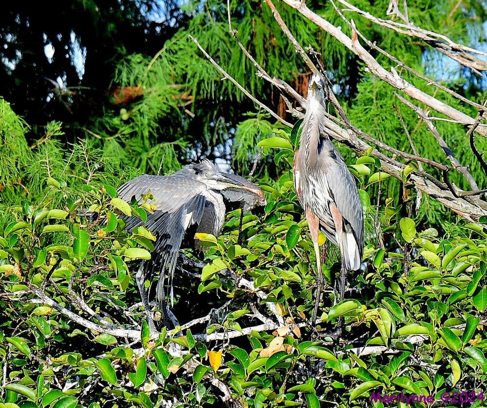 DSC_0761_001.JPG