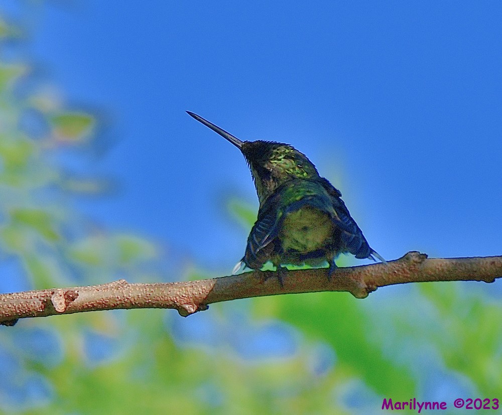 DSC_0765_001.JPG