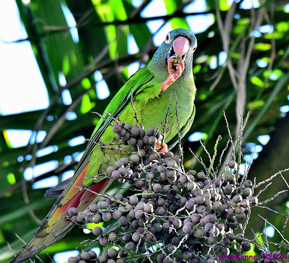 DSC_0767_001.JPG