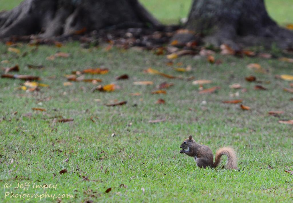 DSC_0783.jpg