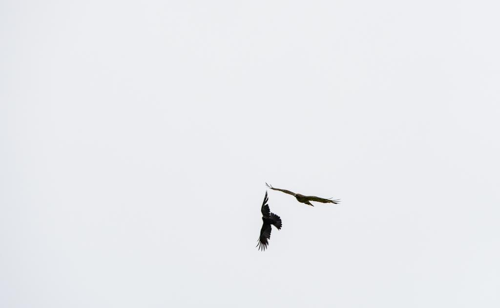DSC_0791.jpg