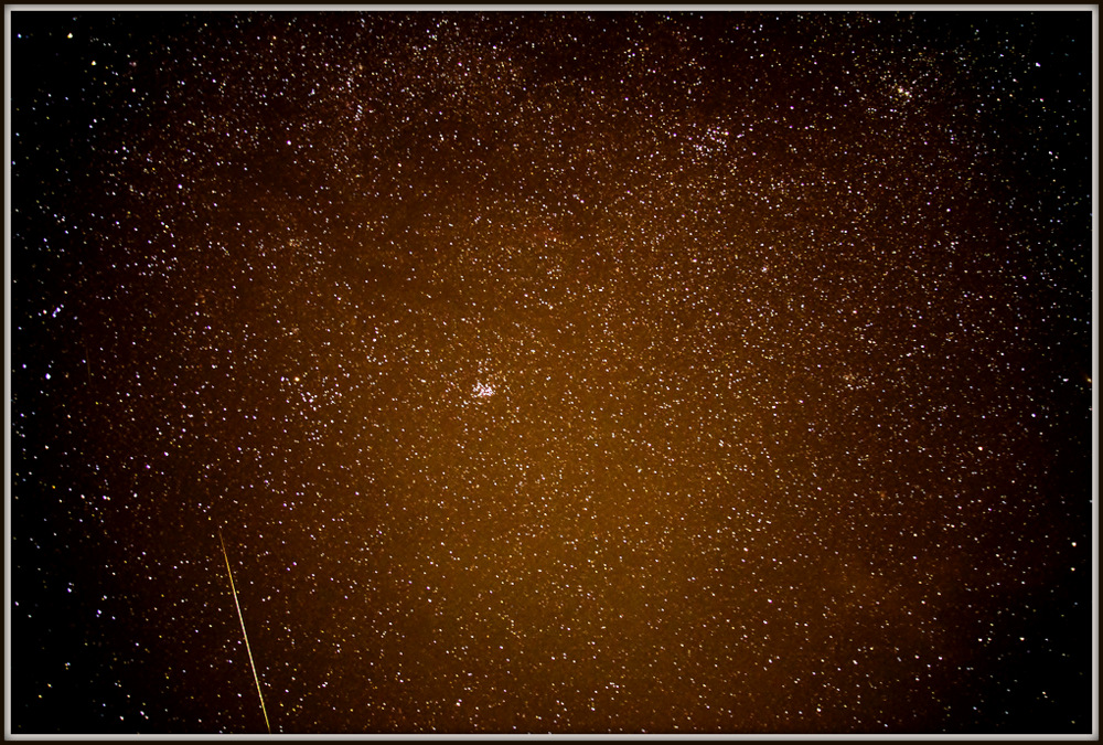DSC_0795.jpg