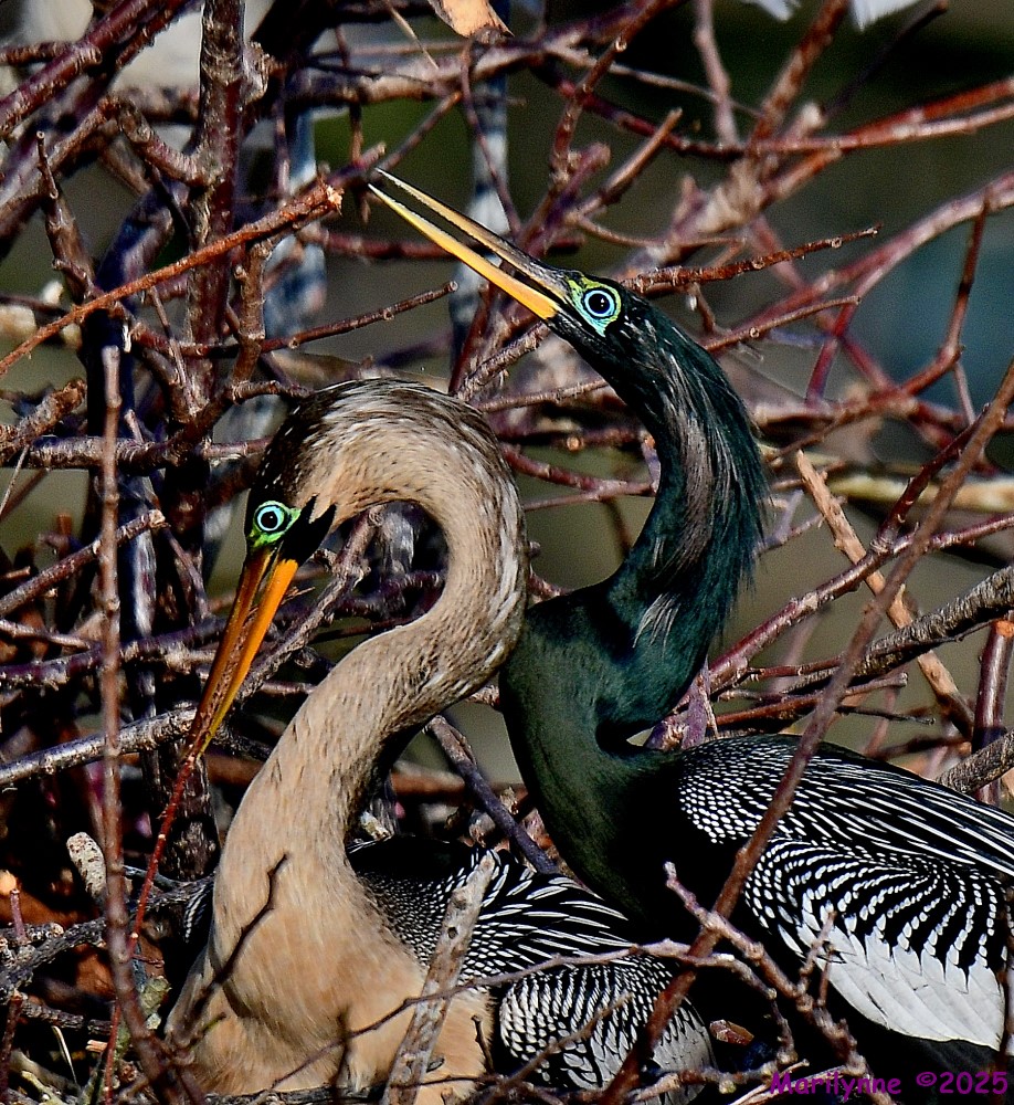 DSC_0807_001.JPG