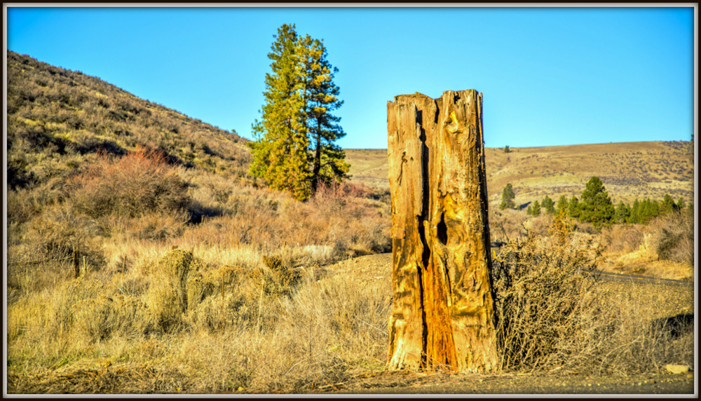 DSC_0809.jpg