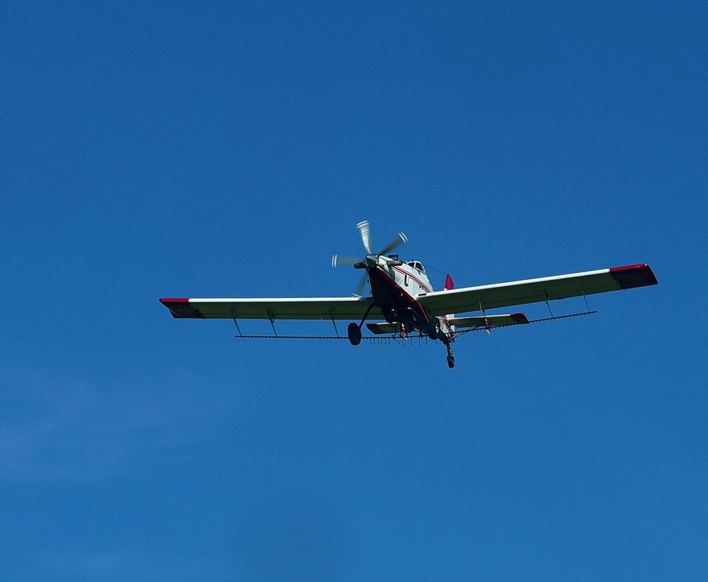 DSC_0809.jpg