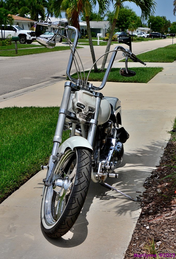 DSC_0809_001.JPG