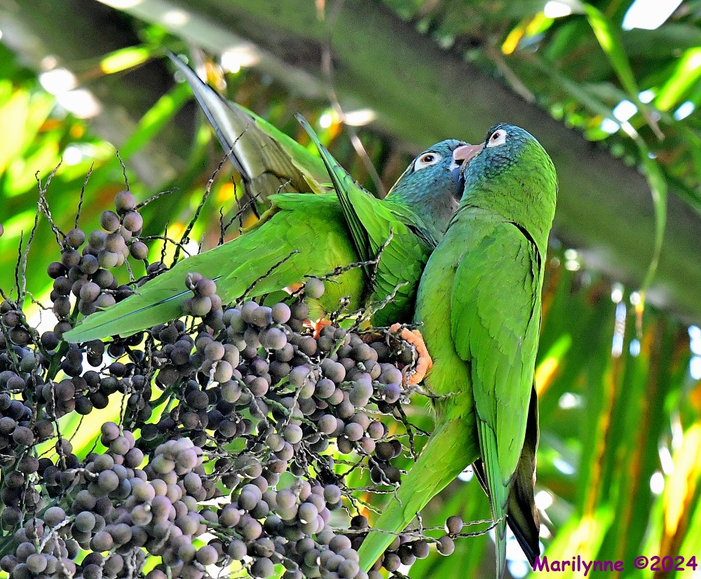 DSC_0810_001.JPG