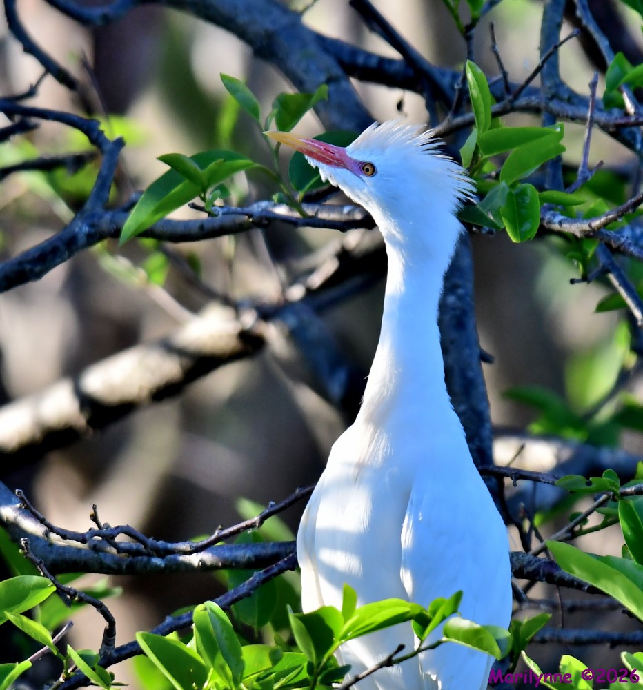 DSC_0812_001.JPG