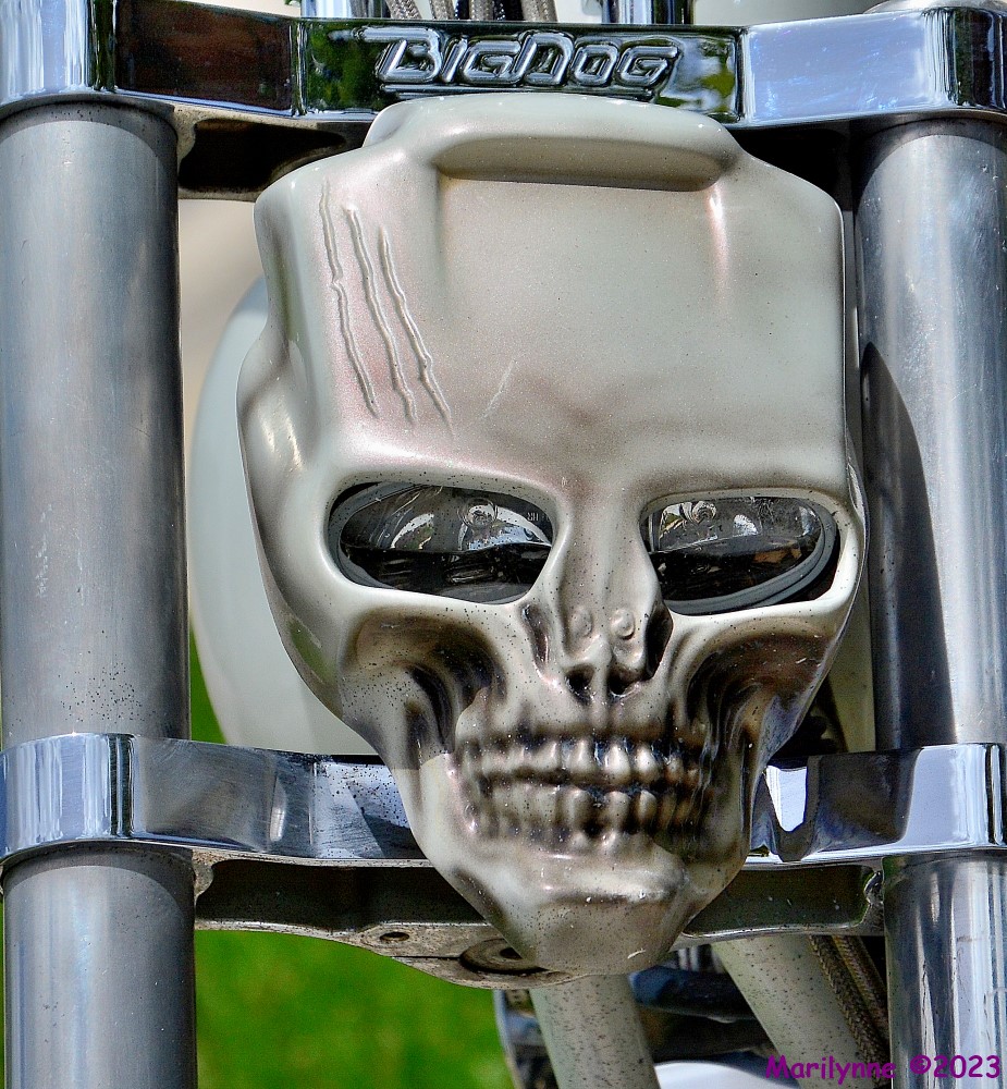 DSC_0813_001.JPG