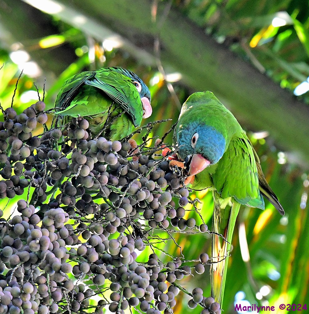 DSC_0813_001.JPG