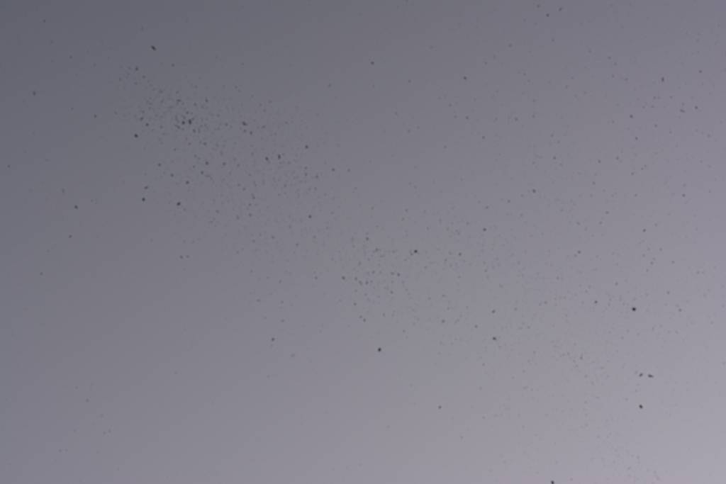 DSC_0814.jpg