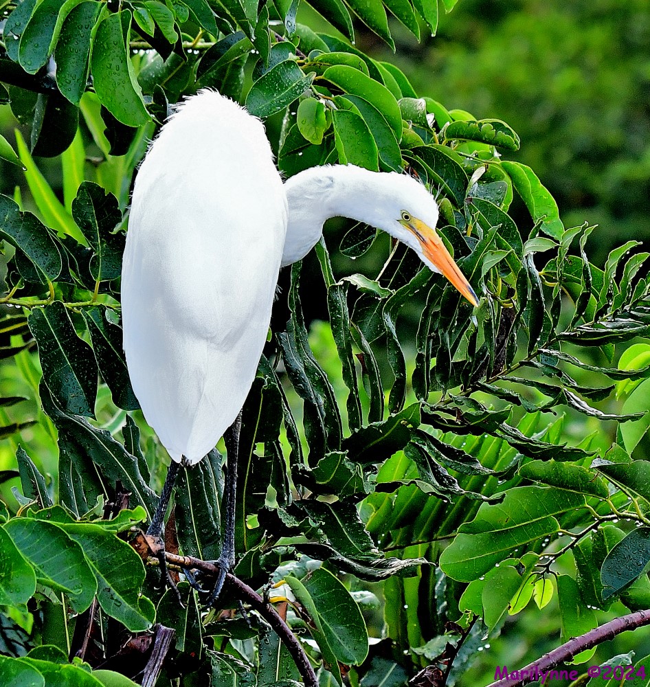 DSC_0814_001.JPG