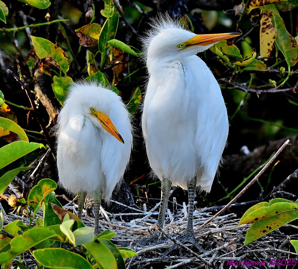 DSC_0814_001.JPG