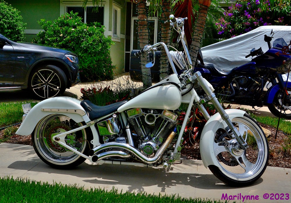 DSC_0816_001.JPG