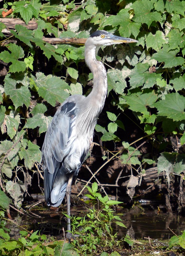 DSC_0819.jpg