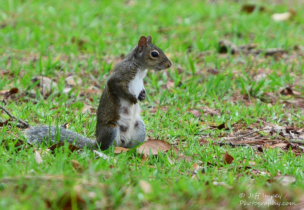 DSC_0820.jpg