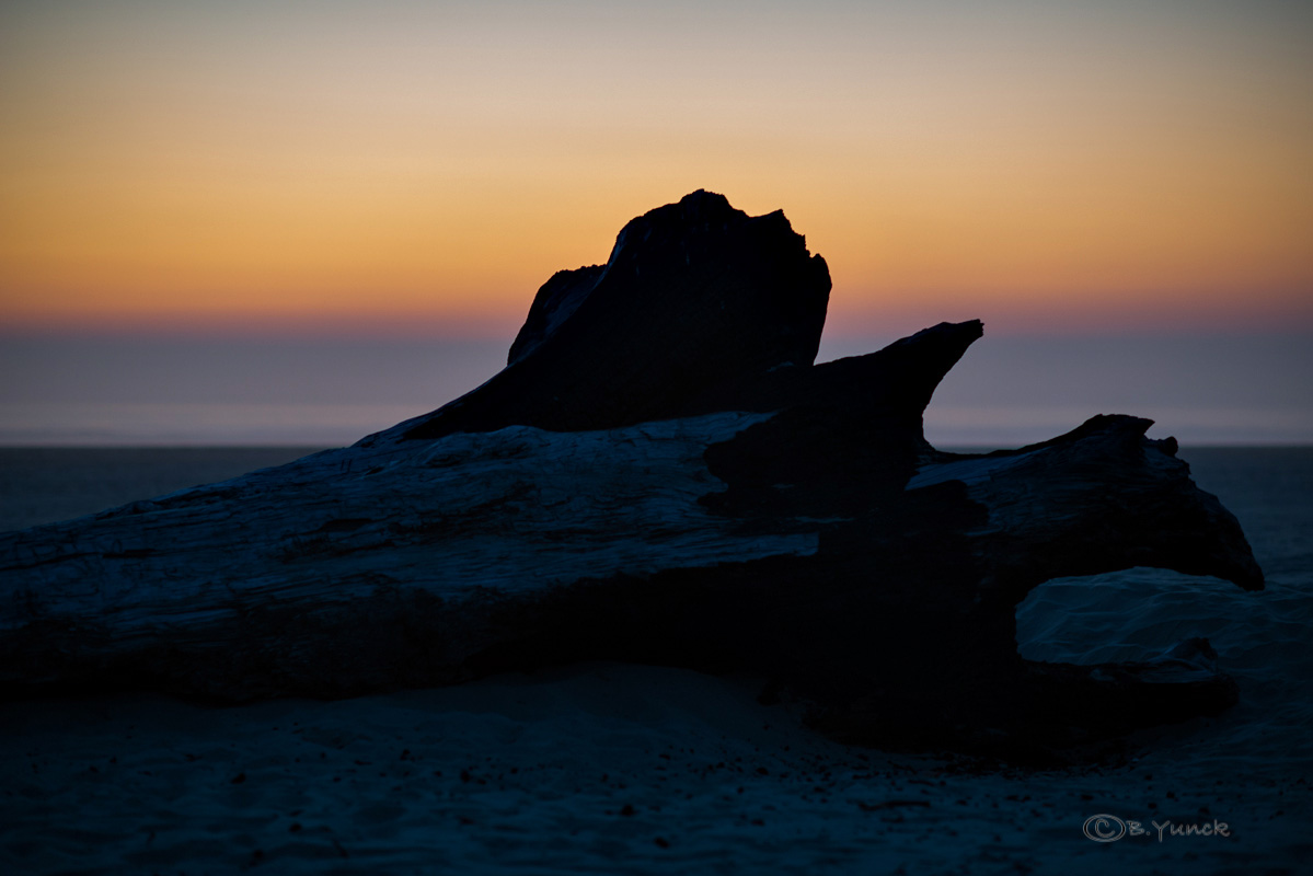 DSC_0823.jpg